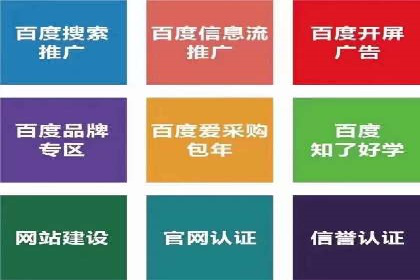 解析SEM主管在竞争激烈市场中的生存之道——以成功案例为鉴